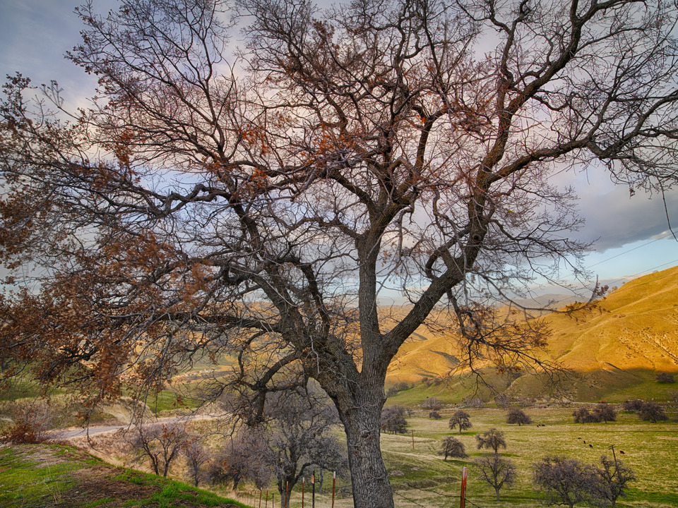 Near Tehachapi