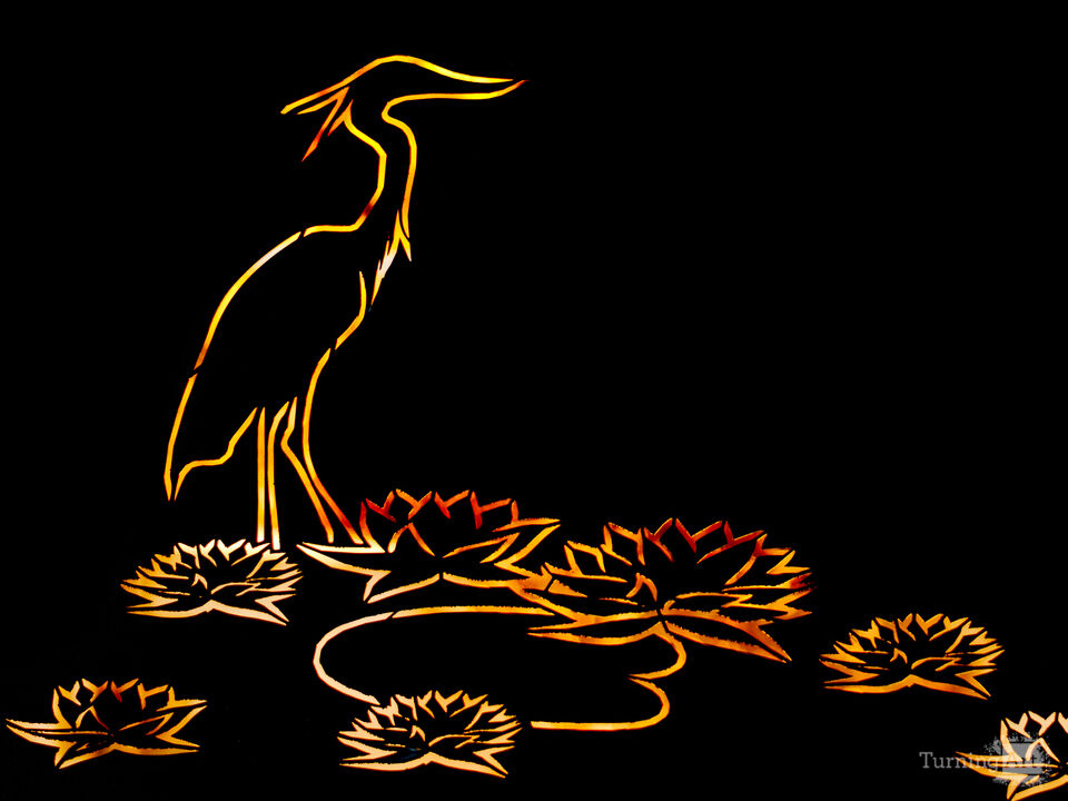Luminous Flora and Fauna