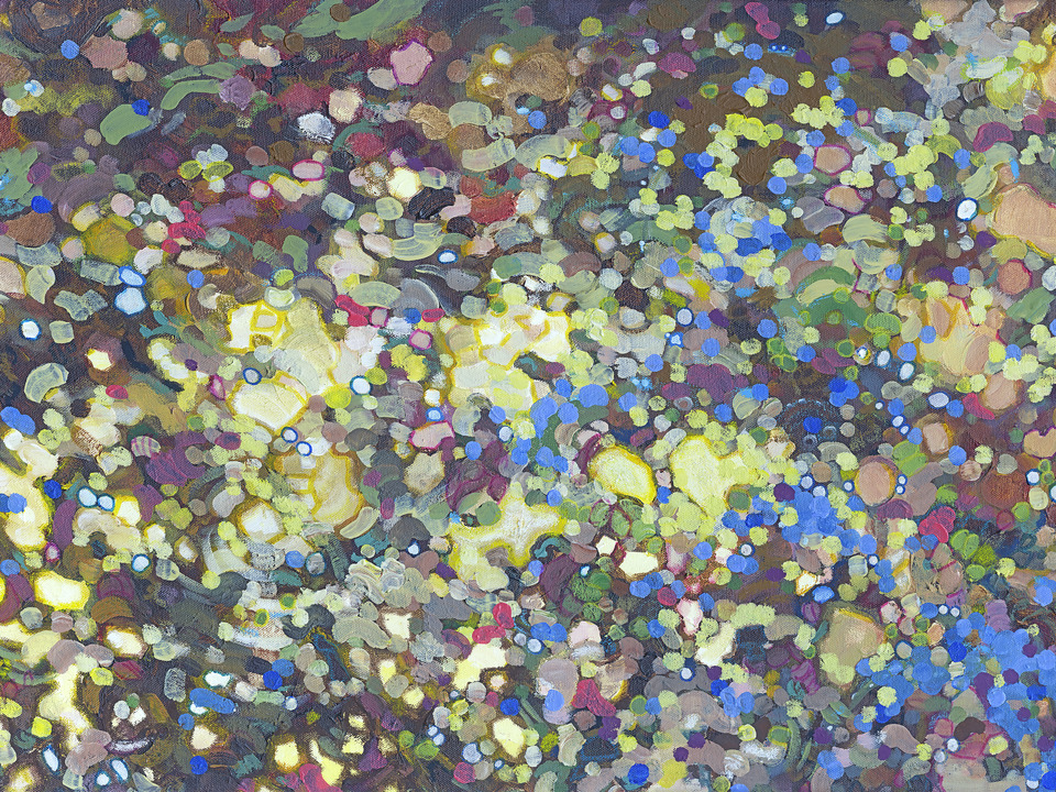 Observing Mother Nature's Palette