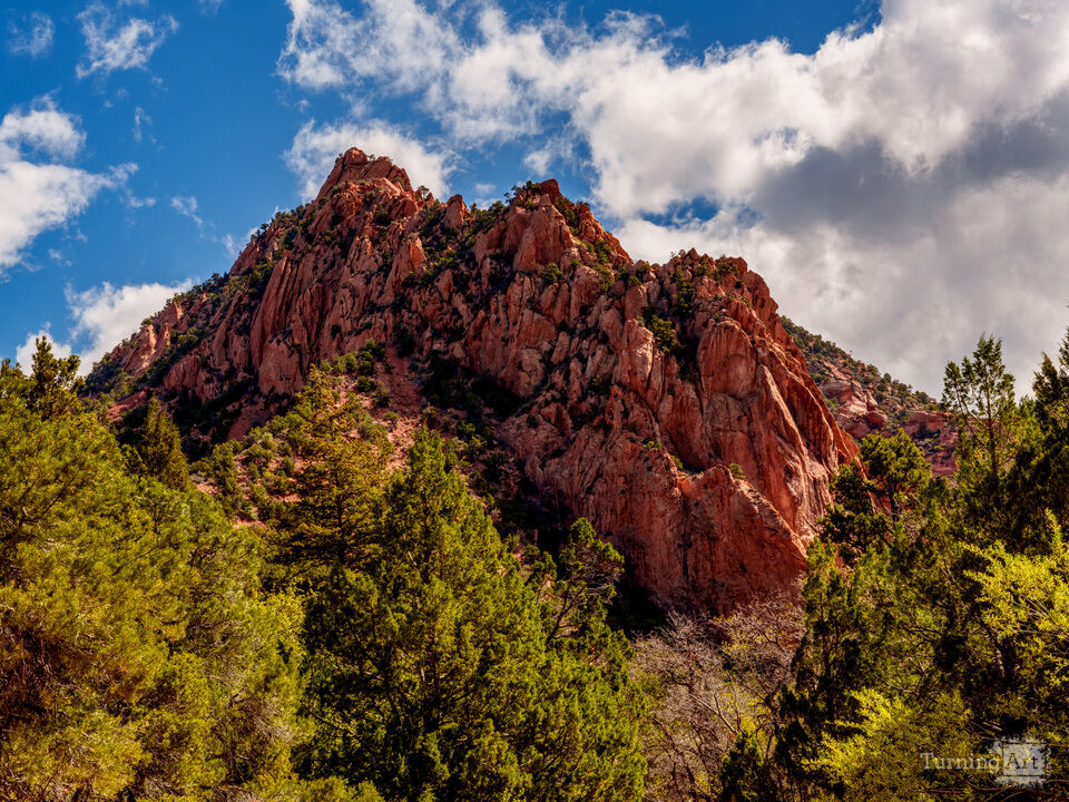 Scenic Red Cliffs on Kanarra Falls Trail