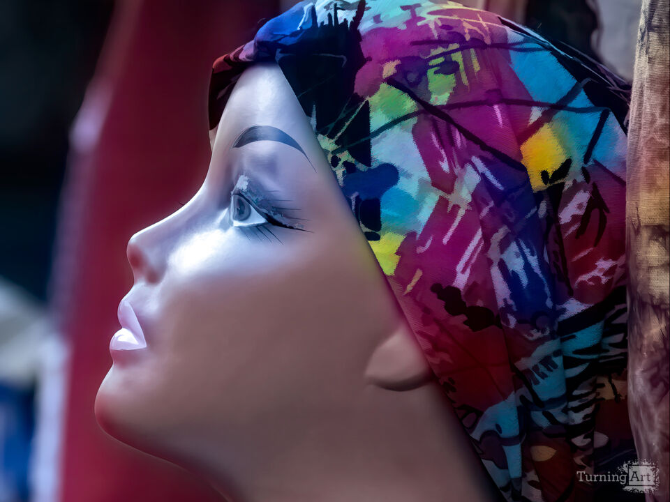 Mannequin Head