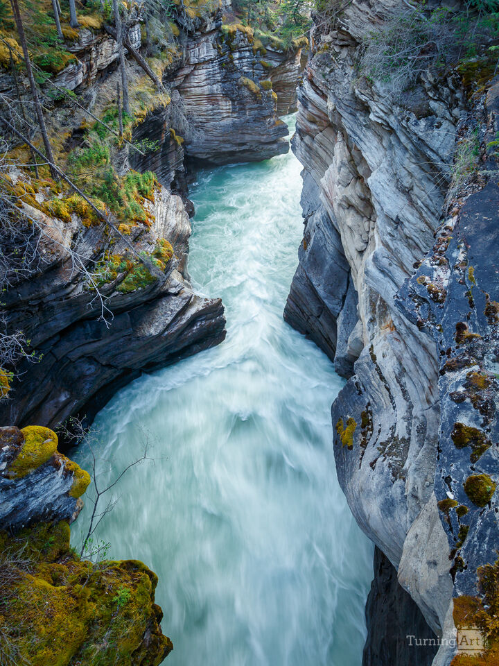 Athabasca Gorge