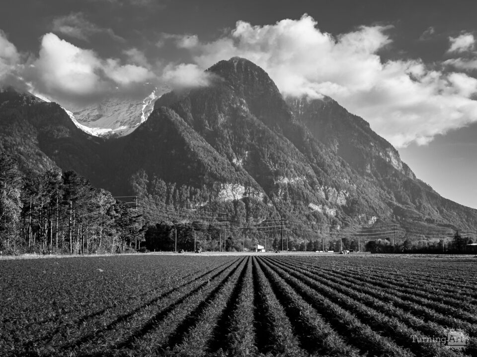 Furrows to the Peak