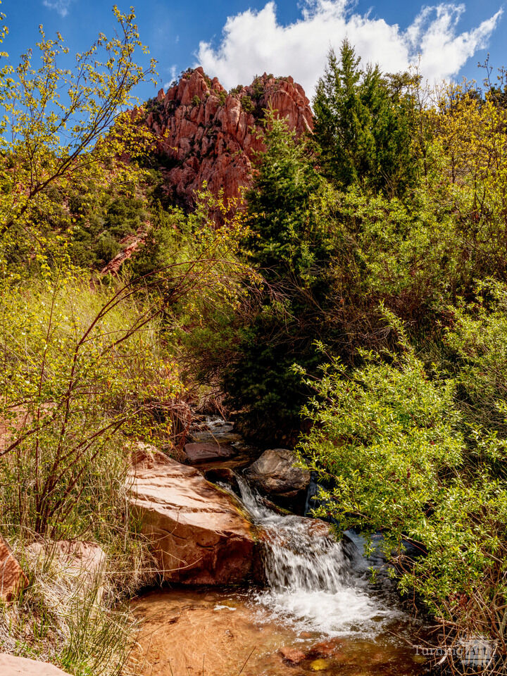 Small Falls Along Kanarra Creek