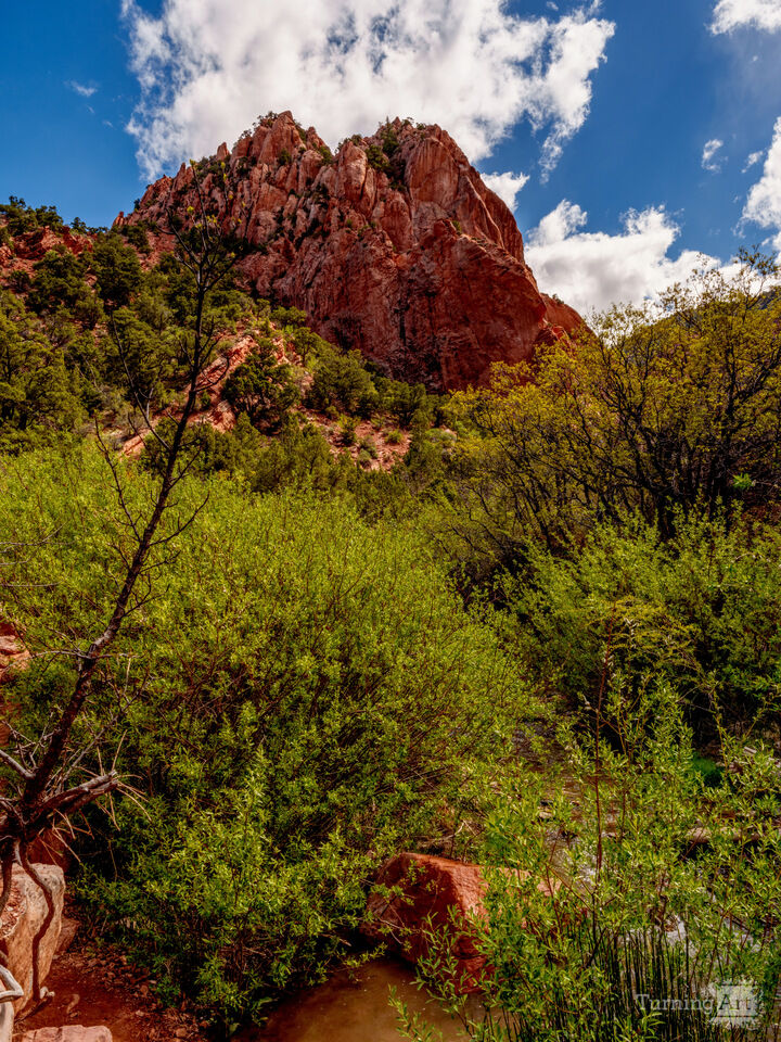 Kanarra Falls Trail Red Rock Landscape