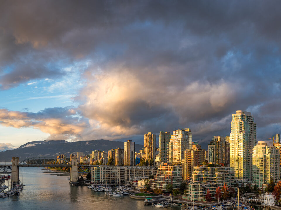 False Creek Golden Hour