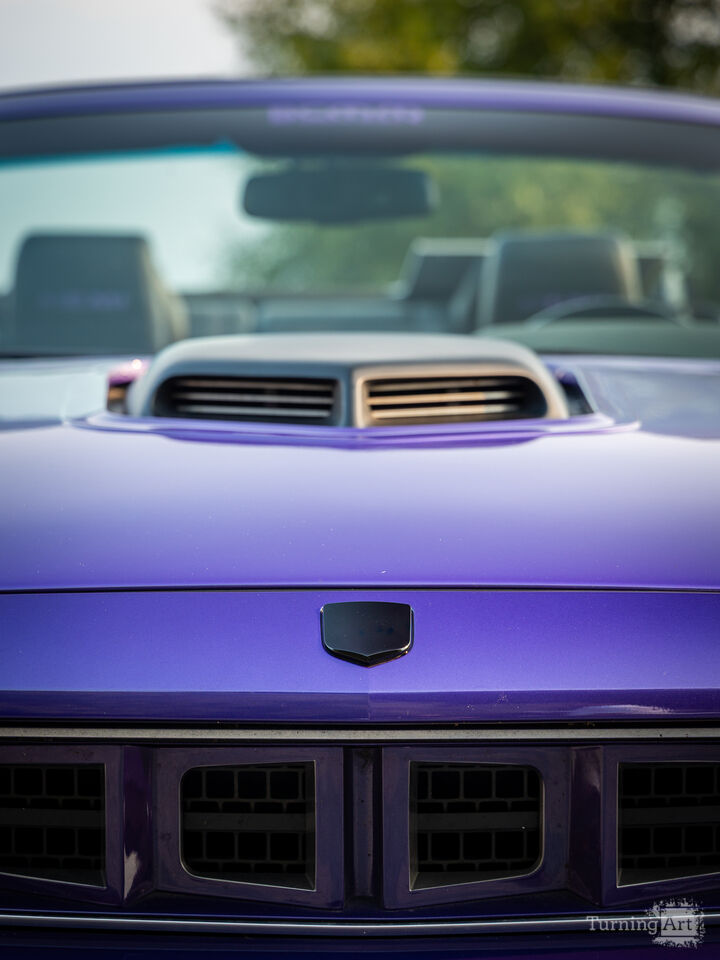 Plum Crazy