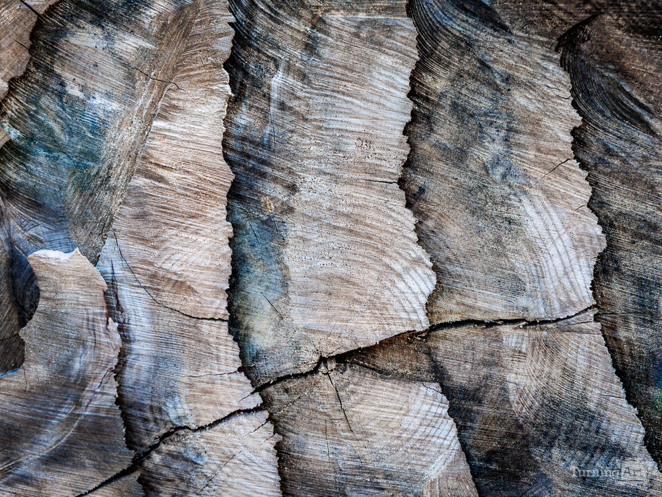 Steel Blue Wood Grain Abstract
