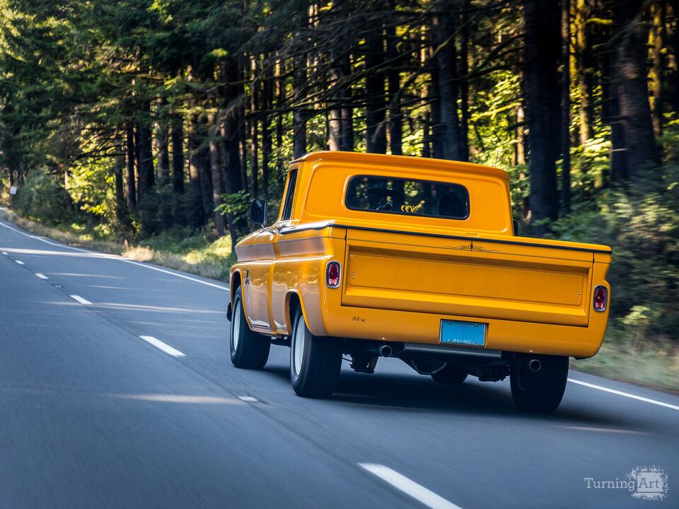 Vintage Drive Through The Forest