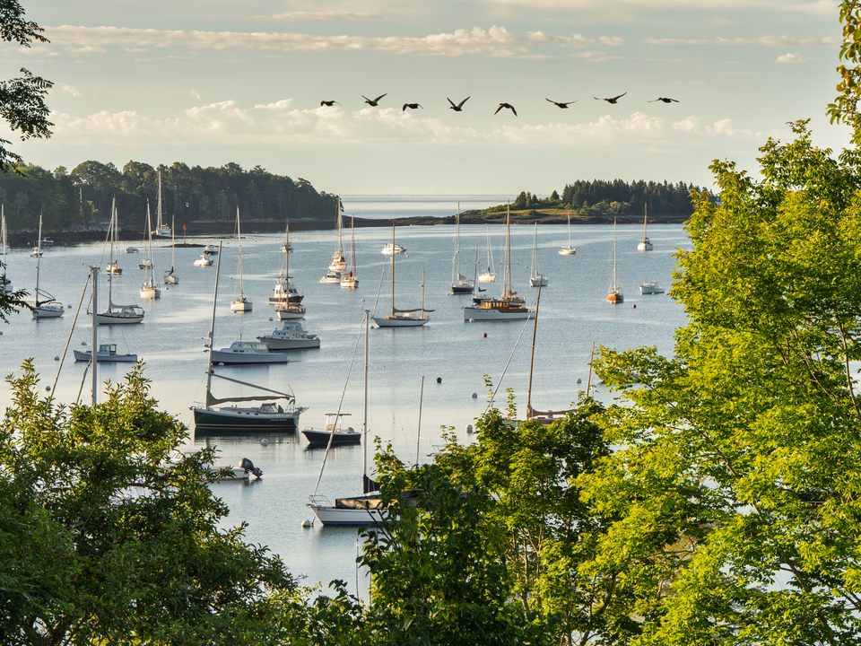 Early Morning in Rockport Harbor, Maine