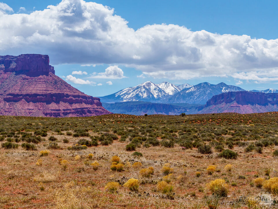 Desert Land To La Sal Mountain Snow