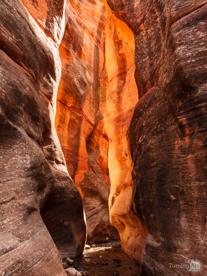 Golden Glow Of Kanarra Falls Slot Canyon