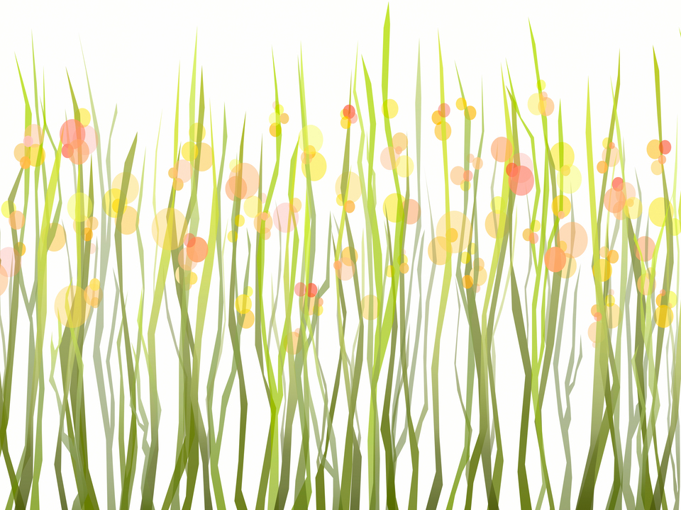 Crystal Blossoms 1015B Pano