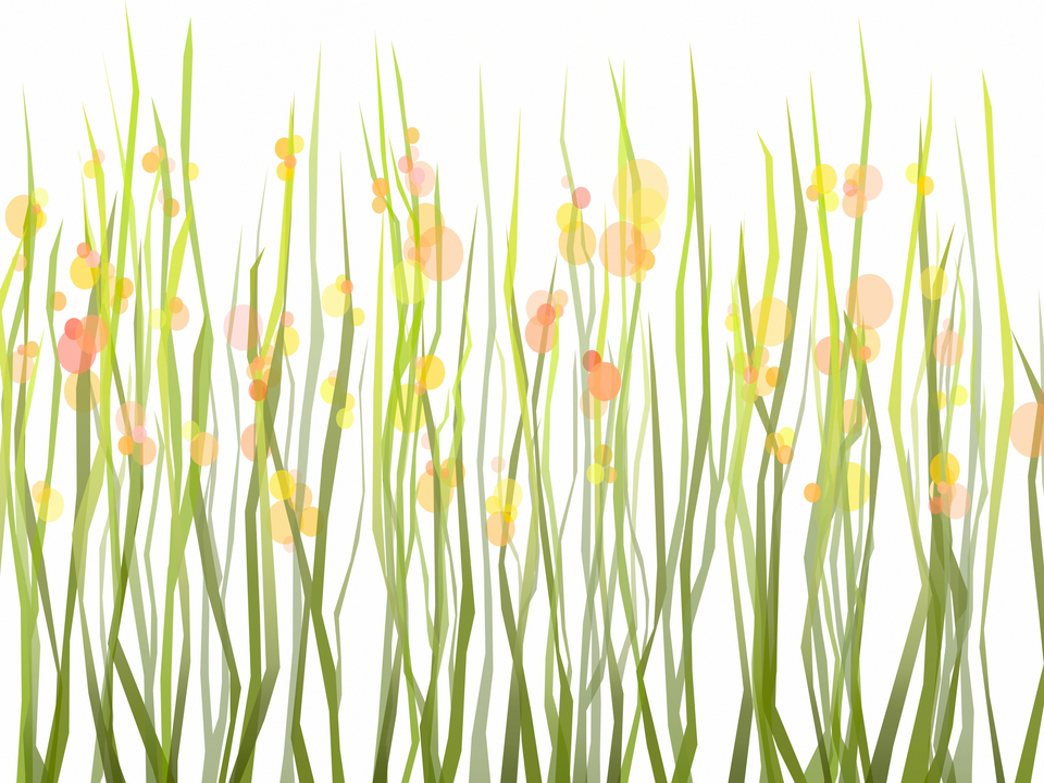 Crystal Blossoms 1015A Pano