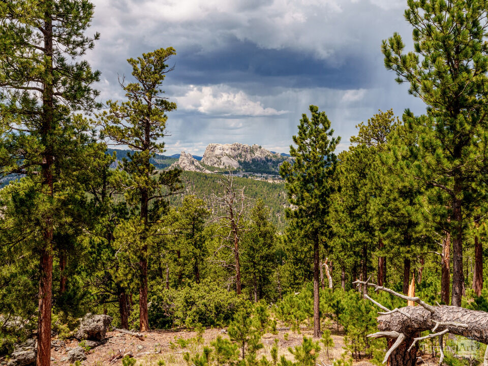 Expansive Mount Rushmore View