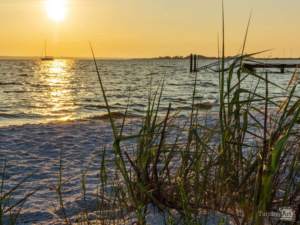 Sea Oats And Sunrise On Santa Rosa Sound