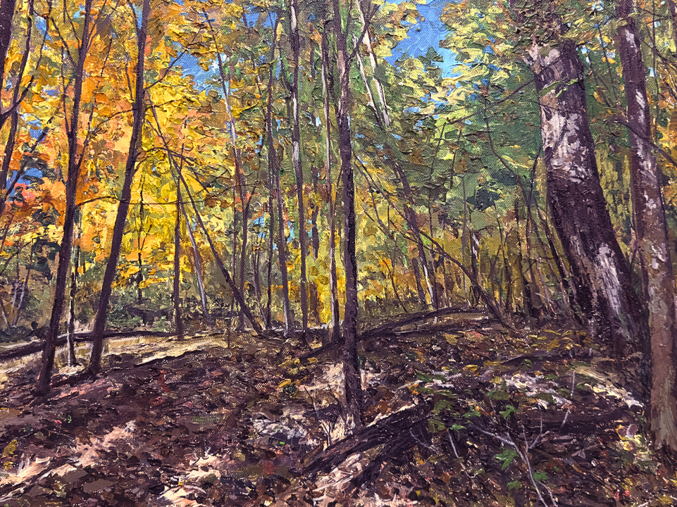 Rainbow in the Woods