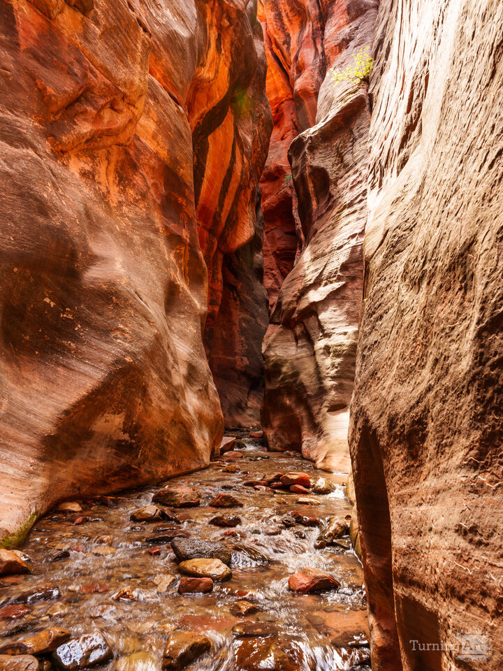 Spring Creek Canyon Slot Canyon