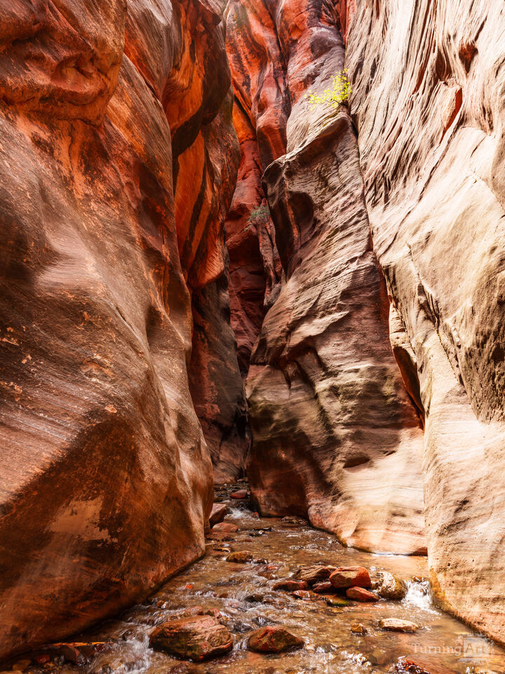 Into the Canyon at Kanarra Falls