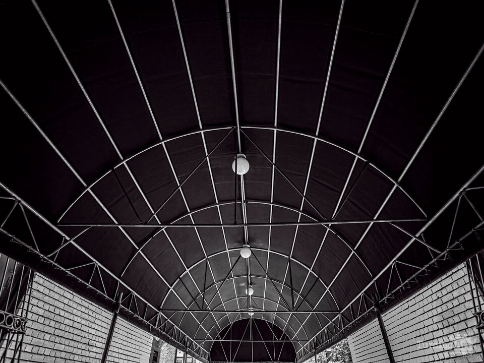 Canopy in Perspective