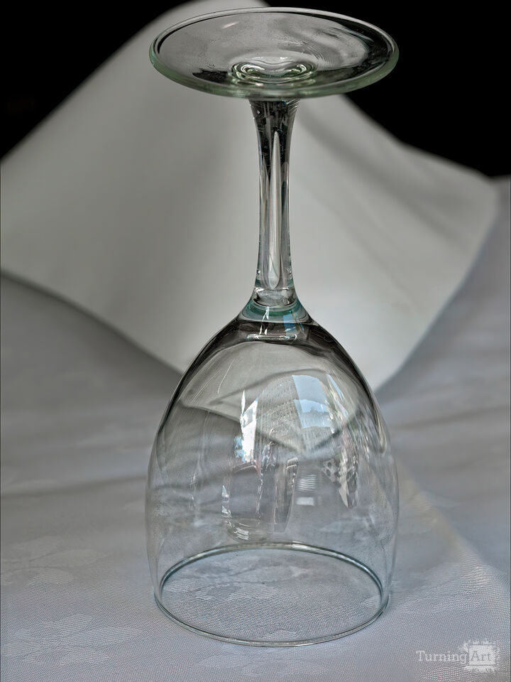 Wine Glass Still Life