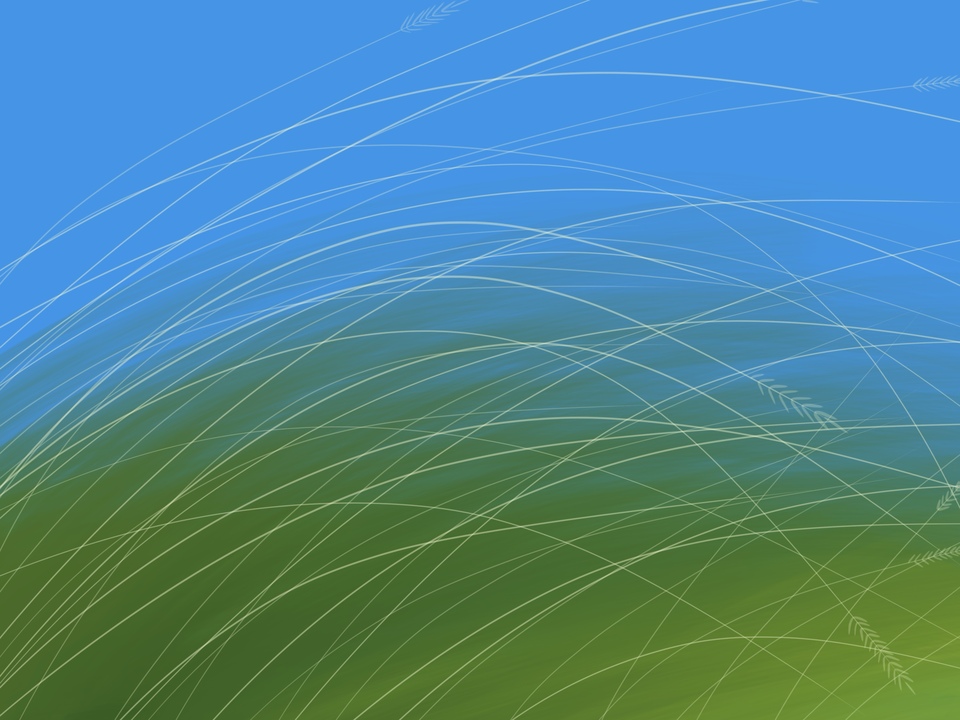 A Field Of Green Grass
