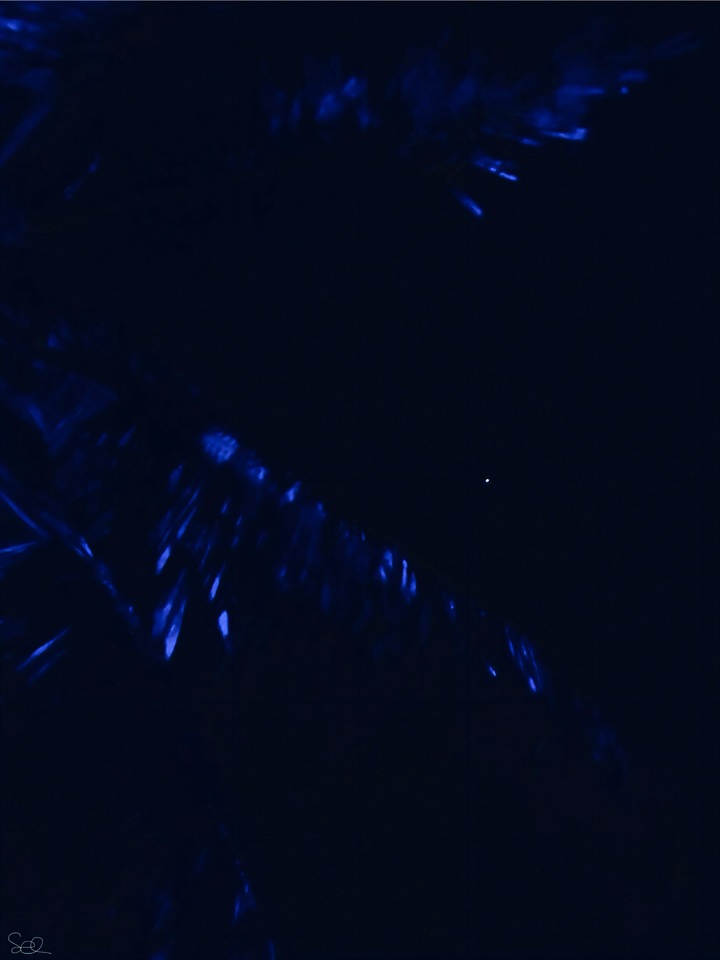Night Vision