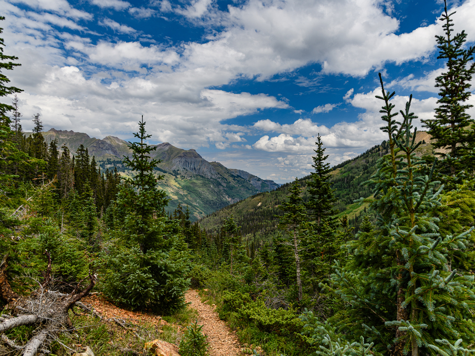 San Juan Trail