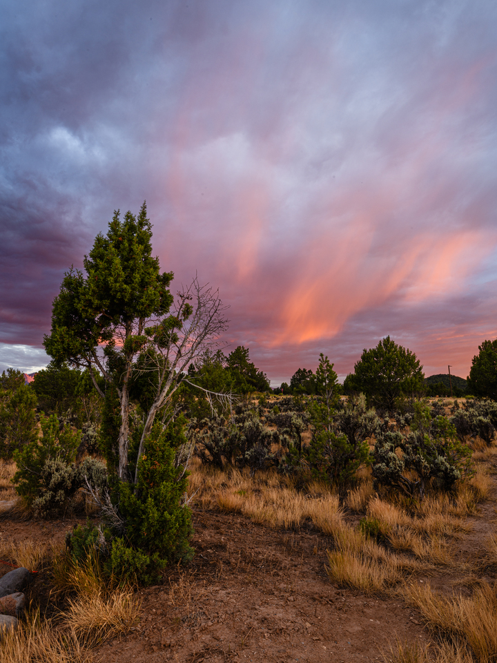 Fire in the Sky