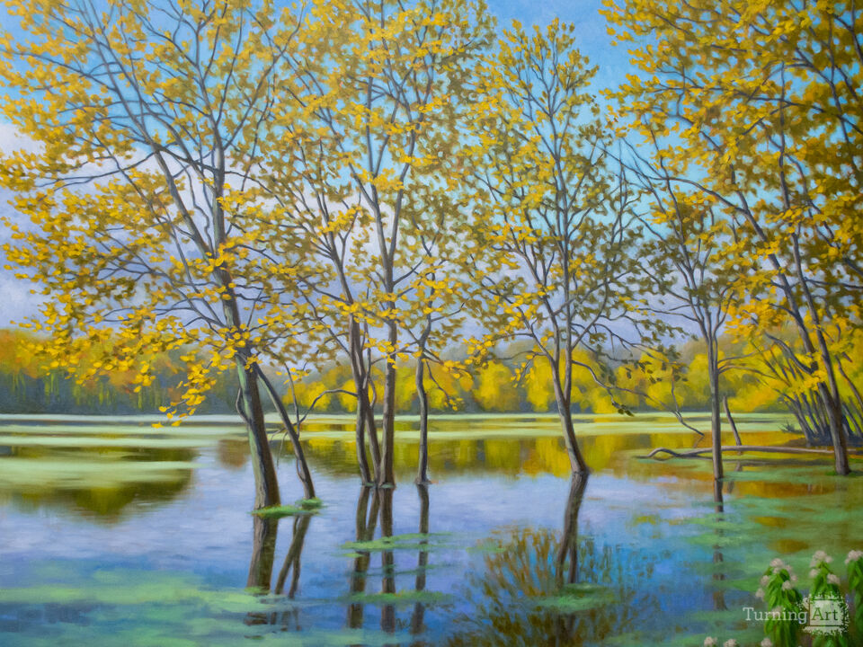 Water's Edge, Autumn Lagoon
