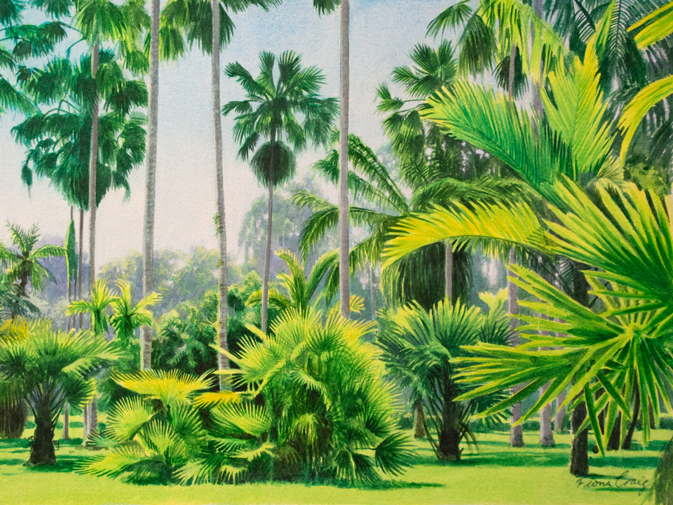 The Palm Collection