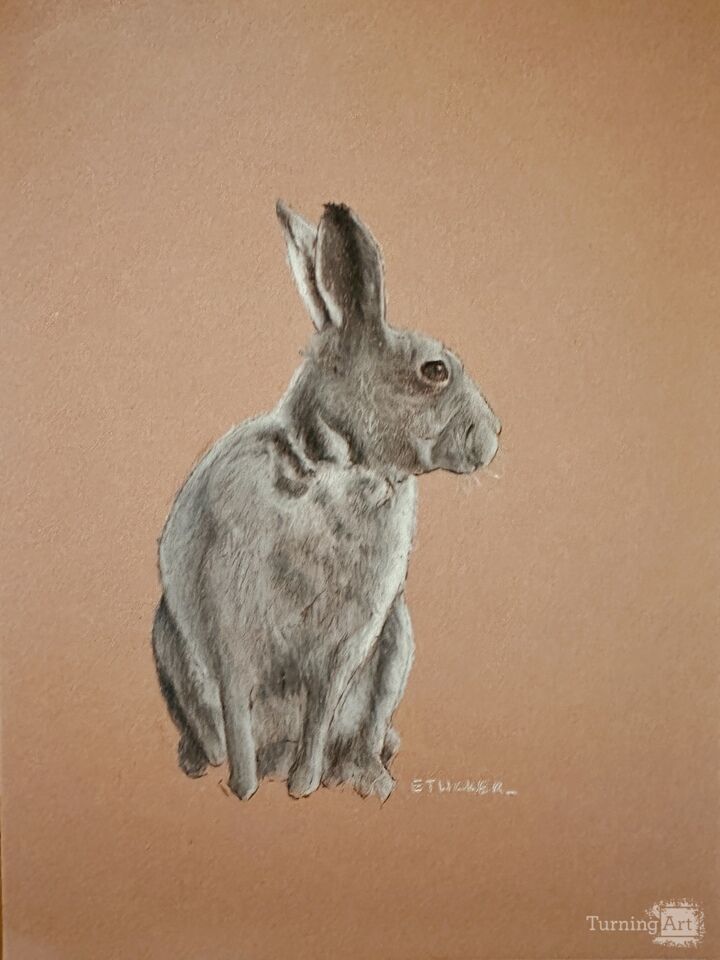 Bunny Rabbit