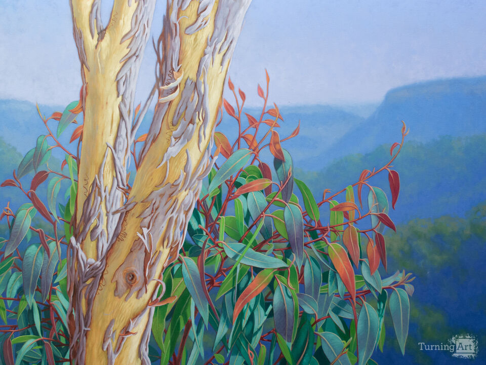 Rejuvenation, Blue Mountains