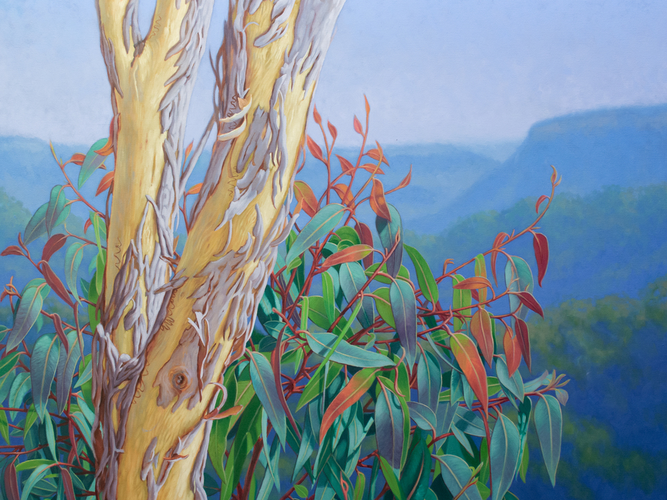 Rejuvenation, Blue Mountains