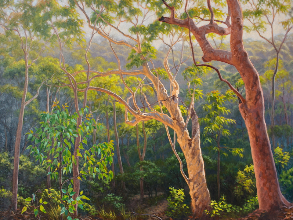Sunlit Morning, Blue Mountains