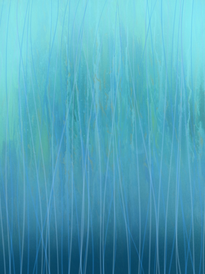 Rainy Bamboo Forest