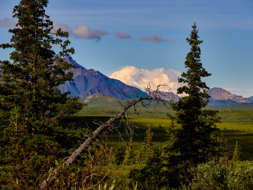 Mt Denali in all her Glory