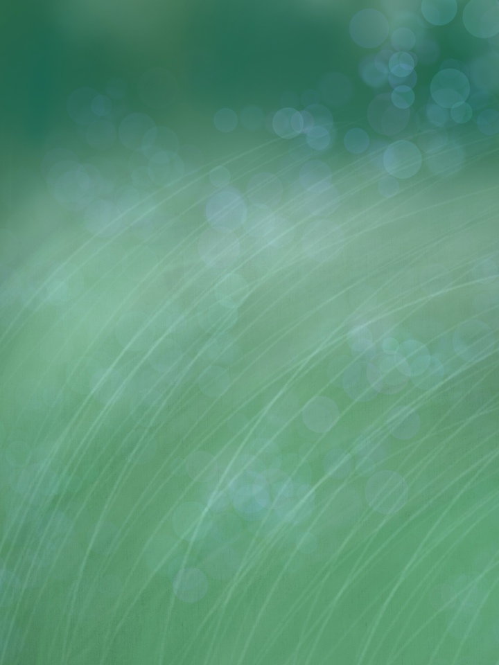 Foggy Green Landscape 