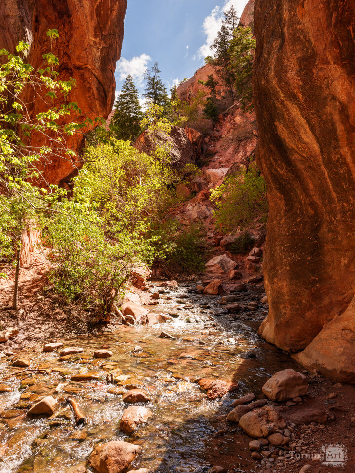 Kanarra Creek Through Rugged Utah