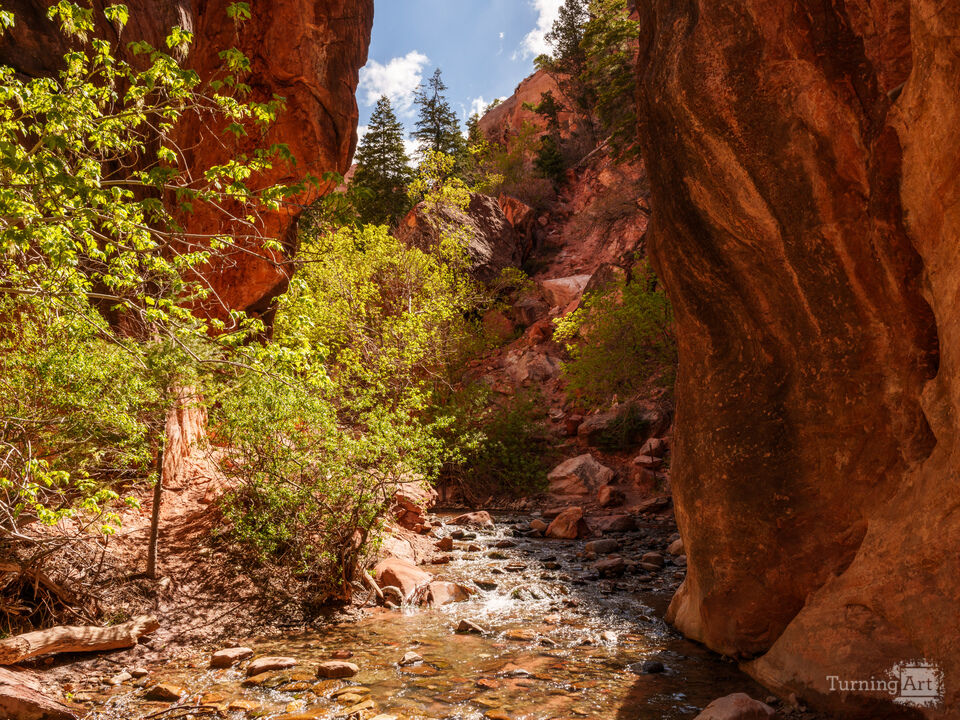 Where The Spring Flows Through Utah