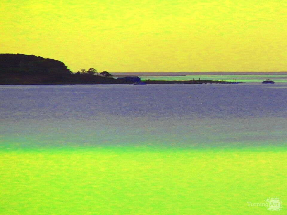 Feel the yellowlime sunshine