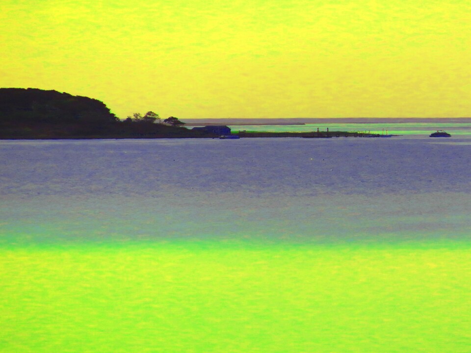 Feel the yellowlime sunshine
