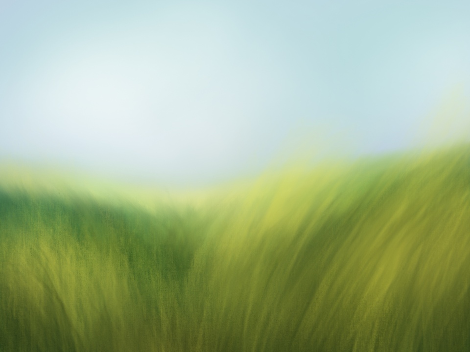 Countryside 