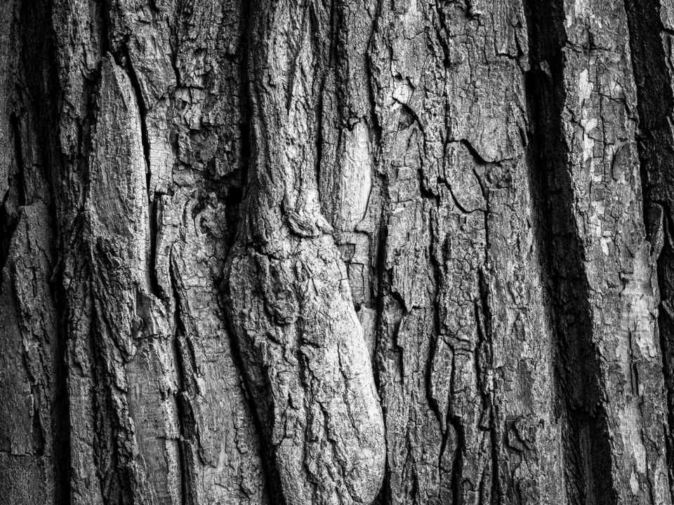 Vertical Relief
