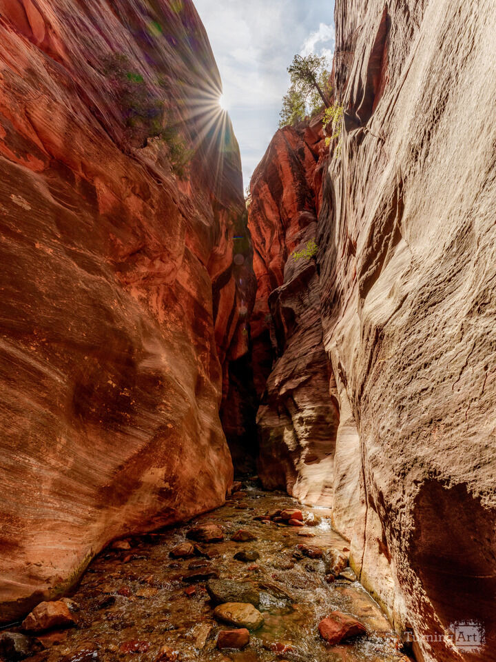 Sunburst Over Spring Creek Canyon