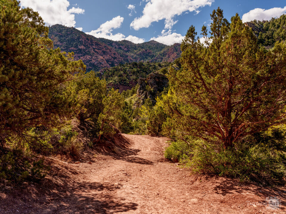 Path Through Utah Wilderness