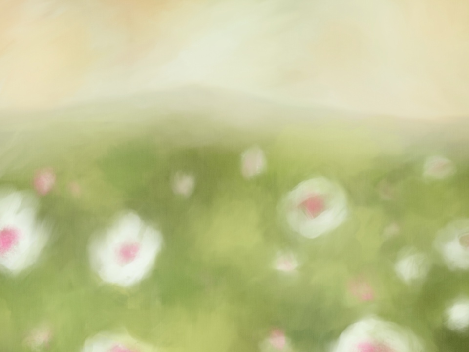 Flowery Meadow