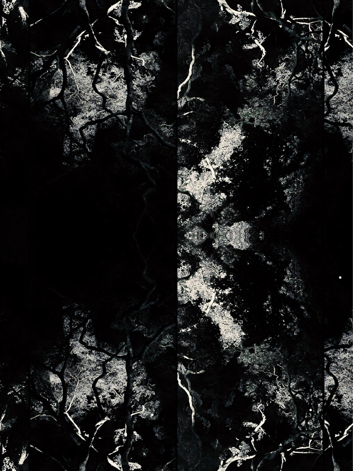 Branches Of Cognition
