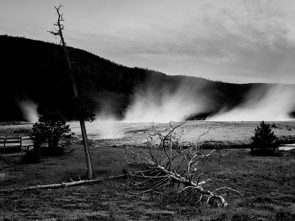 Night in Yellowstone I