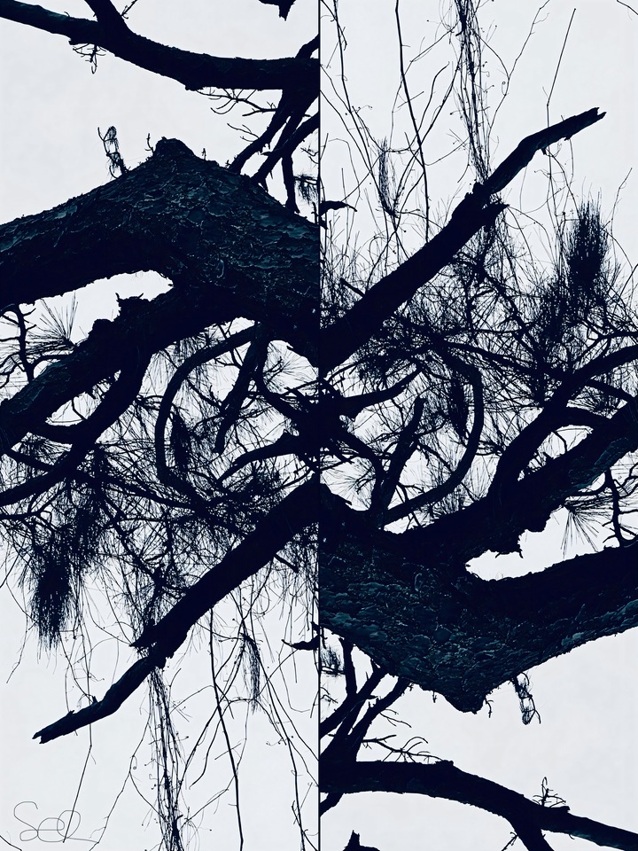 Converging Visions